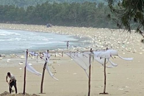 Quảng Ninh: 7km bờ biển Cô Tô bị phao xốp 'tấn công'