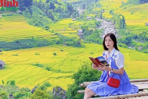 Chiêm ngưỡng 'mùa vàng rực rỡ' ở Nậm Cang Sa Pa