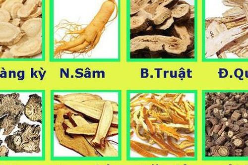 Bài thuốc trị chứng thoát vị