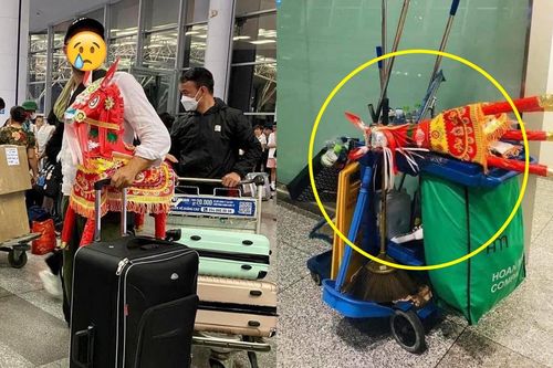 Chuyện 'ngựa vàng mã' bị từ chối lên máy bay