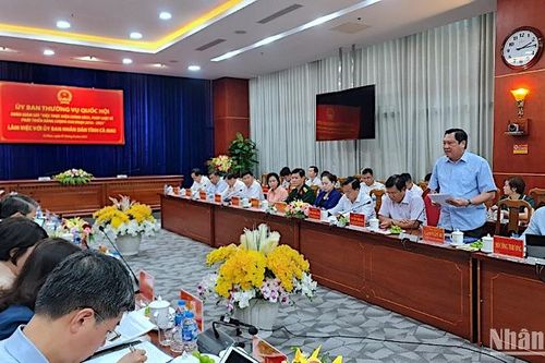 Ủy ban Thường vụ Quốc hội giám sát chuyên đề phát triển năng lượng tại Cà Mau