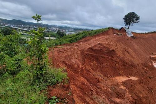 Lâm Đồng: Ngang nhiên san gạt đất trái phép dưới chân núi Langbiang