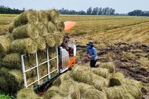 Phát triển kinh tế tuần hoàn: Cần khung pháp lý chặt chẽ
