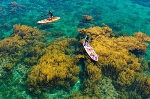 Khám phá 'thiên đường biển đảo' Bình Định