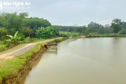 Trên 700 hồ, đập ở Nghệ An chưa được sửa chữa