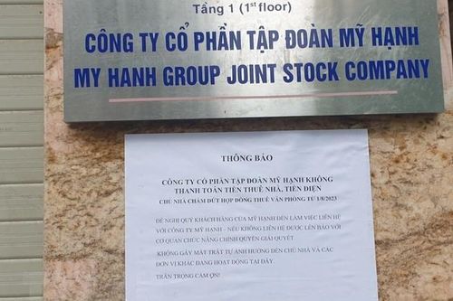 Làm rõ dấu hiệu lừa đảo dự án trồng Sâm Ngọc Linh của Công ty Mỹ Hạnh