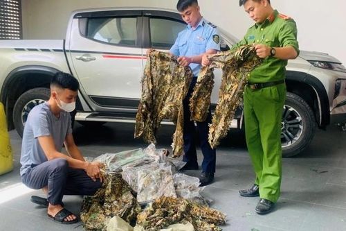 Nghệ An: Xử phạt cá nhân vi phạm trong hoạt động thương mại điện tử