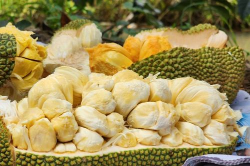 Độc lạ giống mít ở miền Tây thơm lừng mùi sầu riêng, giá 'chát' vẫn 'cháy' hàng