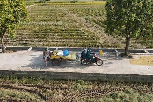 Doanh nghiệp, nông dân 'đẩy khó cho nhau'