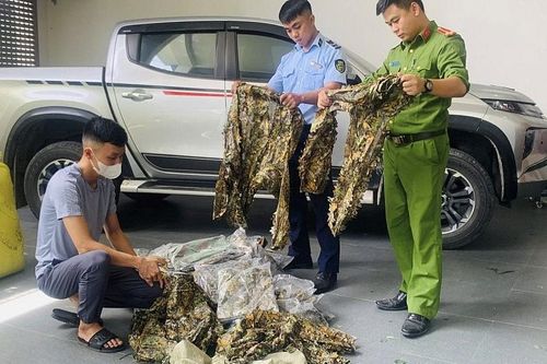 Quản lý thị trường Nghệ An phạt cửa hàng bán quần áo không rõ nguồn gốc, có website vi phạm qui định