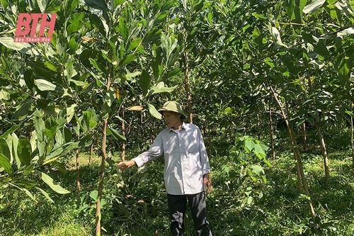 Xã Thượng Ninh đẩy mạnh phát triển kinh tế, nâng cao thu nhập cho người dân
