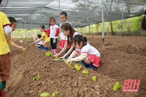 Trường tư thục ngày càng 'hút' học sinh