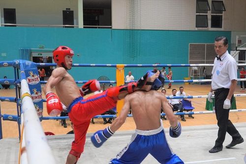 Gần 400 võ sĩ tranh tài tại Giải Vô địch Cup Kick Boxing quốc gia năm 2023