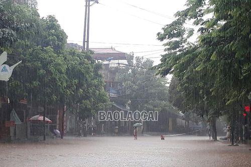Mưa lớn gây thiệt hại tại thành phố Lào Cai