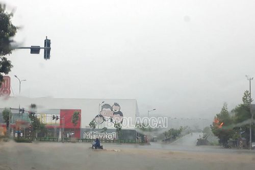 Đêm nay (7/8), mưa ở Lào Cai tăng lên mức đỉnh điểm