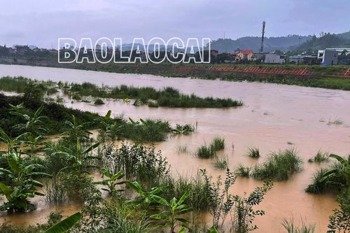 Sông Hồng lũ đạt đỉnh cao nhất từ đầu mùa mưa