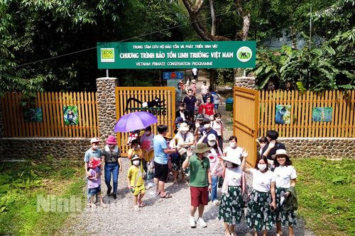 Liên tiếp 5 năm, Cúc Phương được bình chọn là Vườn quốc gia hàng đầu châu Á