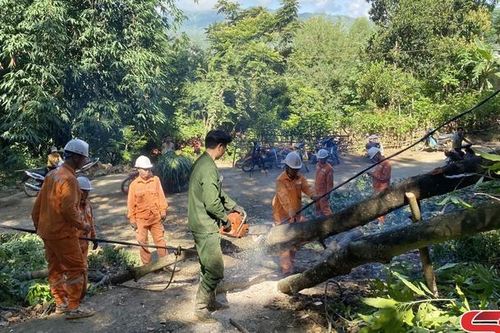 Vận hành an toàn lưới điện trong mùa mưa lũ