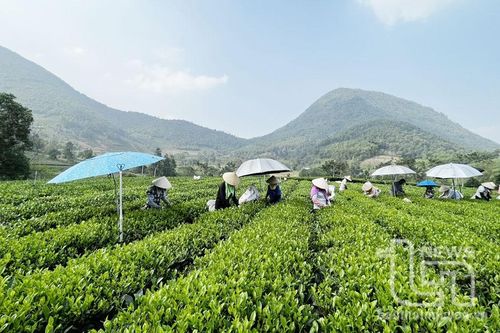 La Bằng - 'sơn nữ ẩn mình' bên sườn Đông Tam Đảo