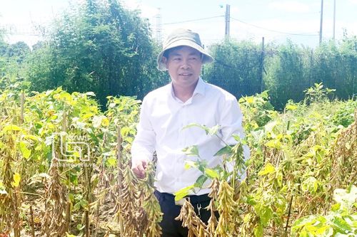 Đại học Thái Nguyên: Thành lập 4 trung tâm ươm tạo và hỗ trợ khởi nghiệp