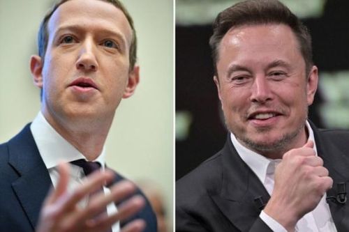 Tỷ phú Elon Musk khai chiến với ông trùm Meta Mark Zuckerberg