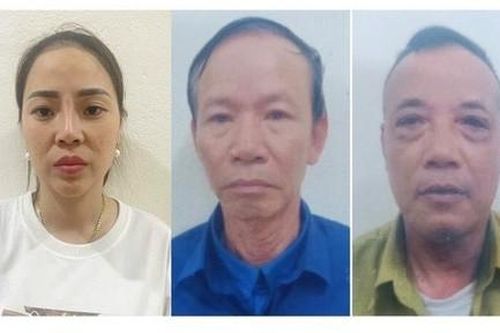 Tạm giam 7 đối tượng trộm cắp tài sản trị giá hơn 8 tỷ đồng