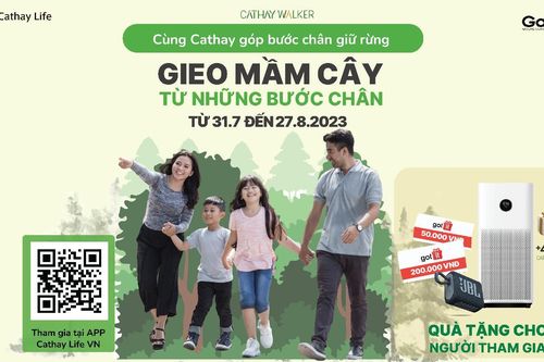 Chương trình Gieo mầm cây từ những bước chân - Cùng Cathay góp bước chân giữ rừng
