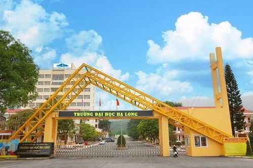 Quảng Ninh: Phát hiện thi thể phụ nữ không mặc quần áo trong khuôn viên trường Đại học