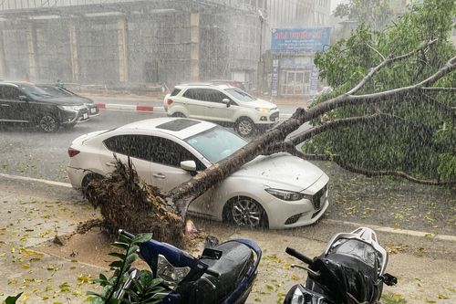Công an huyện Mê Linh tìm chủ sở hữu xe máy
