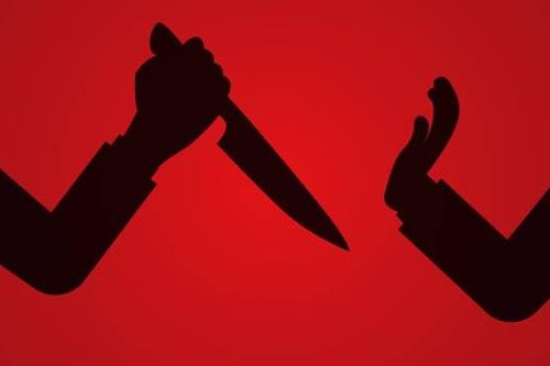 Hưng Yên: Mâu thuẫn đất đai, anh chồng dùng dao bầu đâm chết em dâu