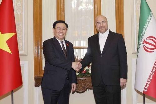Iran luôn coi trọng việc thúc đẩy hơn nữa quan hệ hữu nghị và hợp tác nhiều mặt với Việt Nam