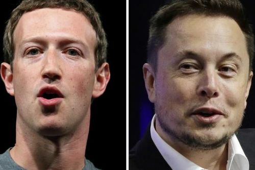 Tỷ phú Musk nói cần phẫu thuật trước khi thách đấu với CEO Zuckerberg