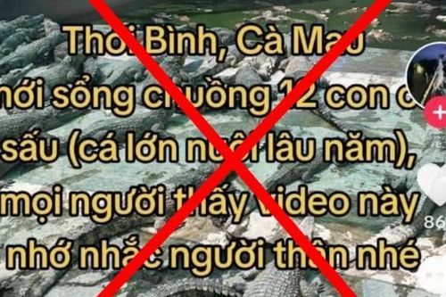 Cà Mau: Xử phạt người tung tin thất thiệt về việc 12 con cá sấu sổng chuồng