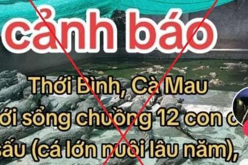 Bị phạt 7,5 triệu đồng vì đăng tin hóng hớt '12 con cá sấu xổng chuồng'