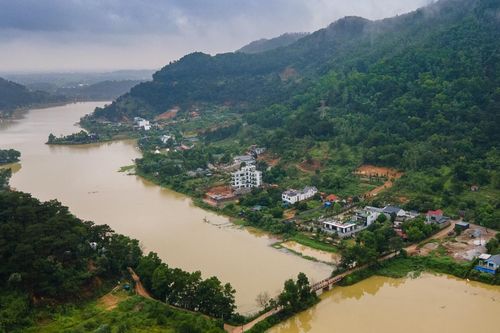 Rừng Sóc Sơn tiếp tục bị 'xẻ thịt' sau kết luận thanh tra