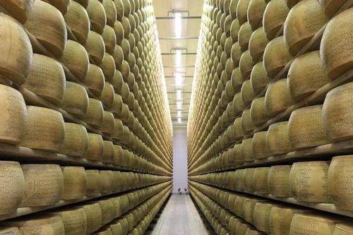 Doanh nhân Italia tử vong vì bị 15.000 bánh pho mát đè bẹp