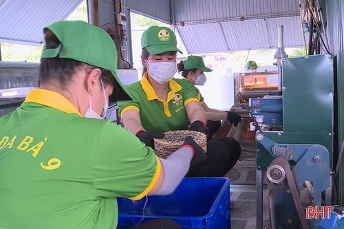 OCOP 3 sao - 'vé thông hành' giúp bánh đa Xuân Lộc mở rộng thị trường