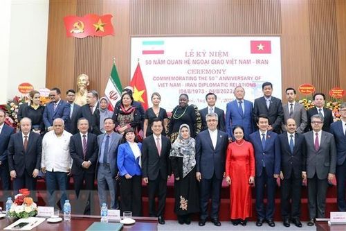 Tạo động lực mạnh mẽ đưa quan hệ Việt Nam-Iran lên tầm cao mới