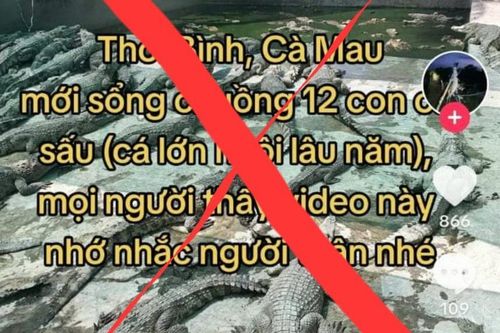 Cà Mau: Xử phạt người đăng tải thông tin sai sự thật lên mạng xã hội