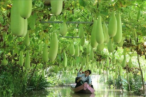 Hướng tới du lịch và đầu tư xanh