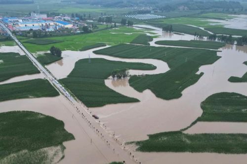 Nỗi lo an ninh lương thực khi vựa lúa Trung Quốc chìm trong nước lũ