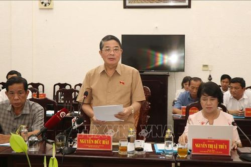 Giám sát thực hiện chính sách, pháp luật về phát triển năng lượng tại Bạc Liêu