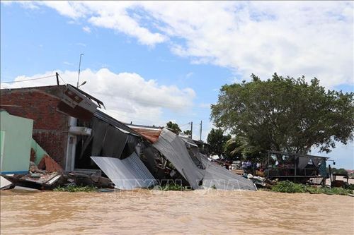 Sạt lở nghiêm trọng làm 6 căn nhà sụp xuống sông Tiền