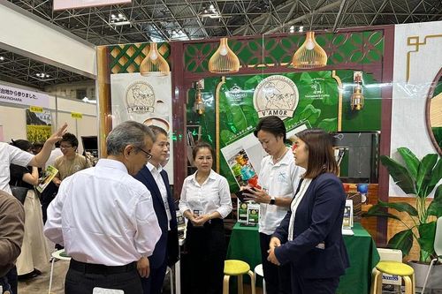 Cà phê đặc sản Arabica LangBiang, Moka Cầu Đất chinh phục 'gu' người Nhật