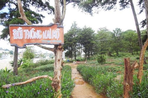 Đại Quang Minh tài trợ ý tưởng quy hoạch: Phủ kín đất xây dựng Khu đô thị phía Đông Đà Lạt