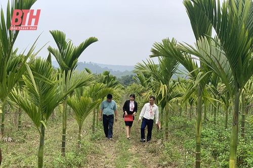 Tạo điều kiện thuận lợi để hội viên Hội Nông dân tiếp cận nguồn vốn đầu tư phát triển