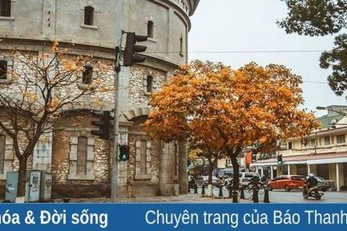 Nghĩ vụn ngày thu đến...