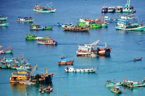 Việt Nam và Indonesia hợp tác thúc đẩy nghề cá biển, chống đánh bắt bất hợp pháp