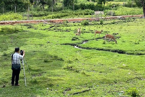 Mở rộng hợp tác quốc tế trong phòng-chống tội phạm, vi phạm pháp luật về đa dạng sinh học
