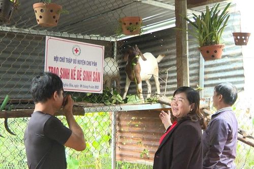 Tặng dê sinh sản cho hộ nghèo ở xã Nghĩa Hòa